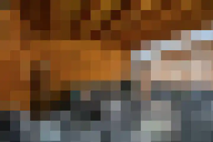 De Hennepe 59 Tiel thumbnail 32