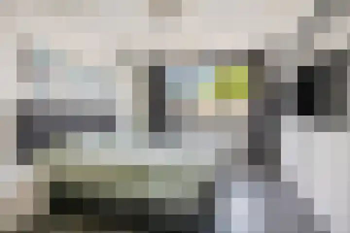 De Hennepe 59 Tiel thumbnail 4