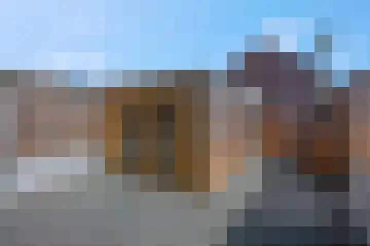 De Hennepe 59 Tiel thumbnail 8