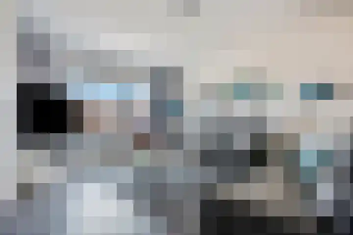 De Hennepe 59 Tiel thumbnail 9