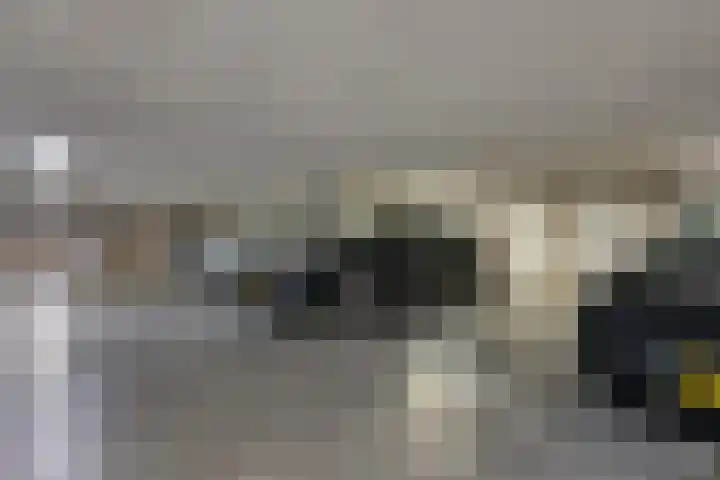 De Henschoterhof 19 Woudenberg thumbnail 25