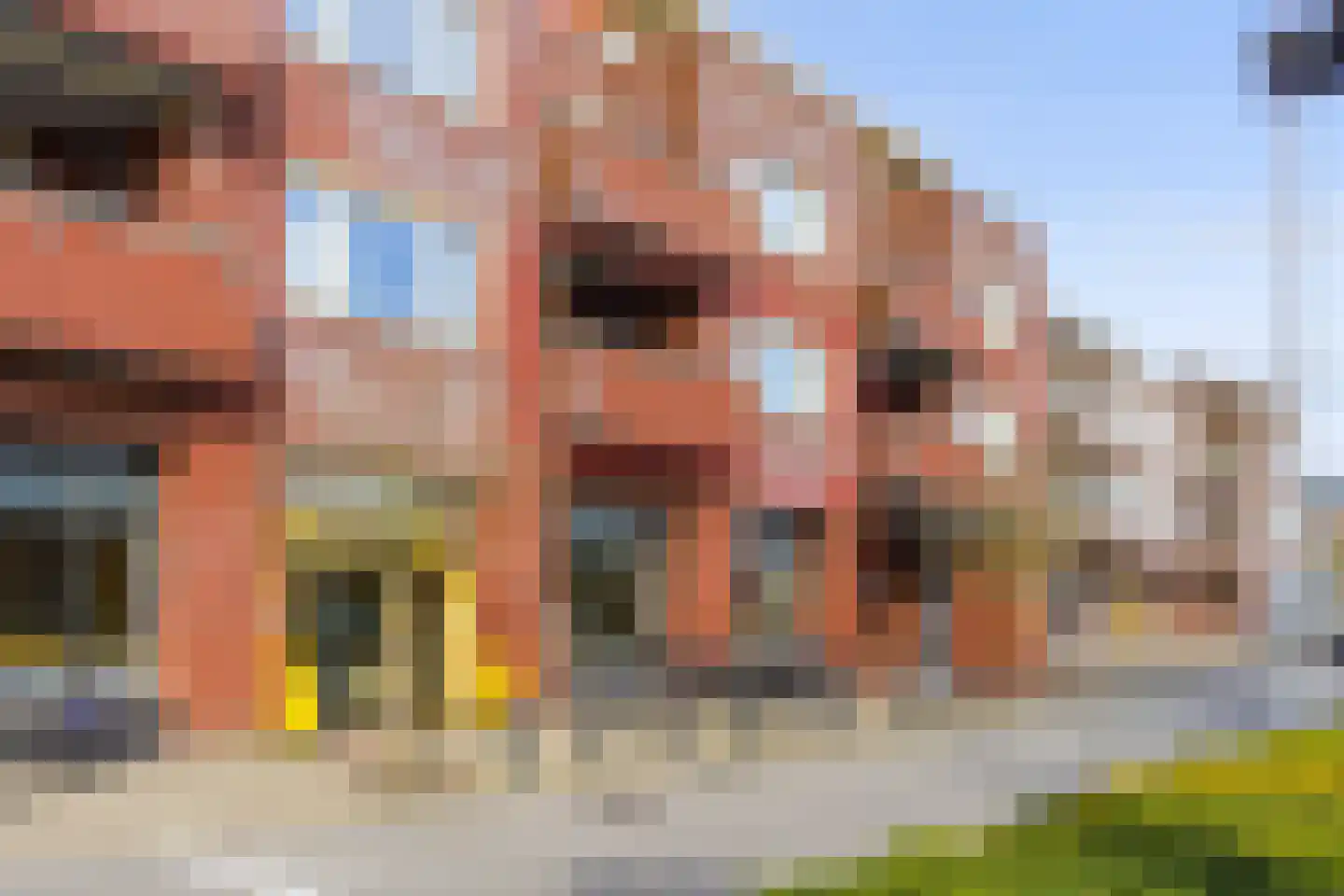 De Henschoterhof 2 Woudenberg