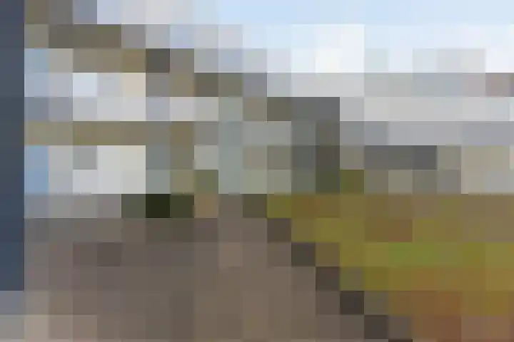 De Henschoterhof 2 Woudenberg thumbnail 11