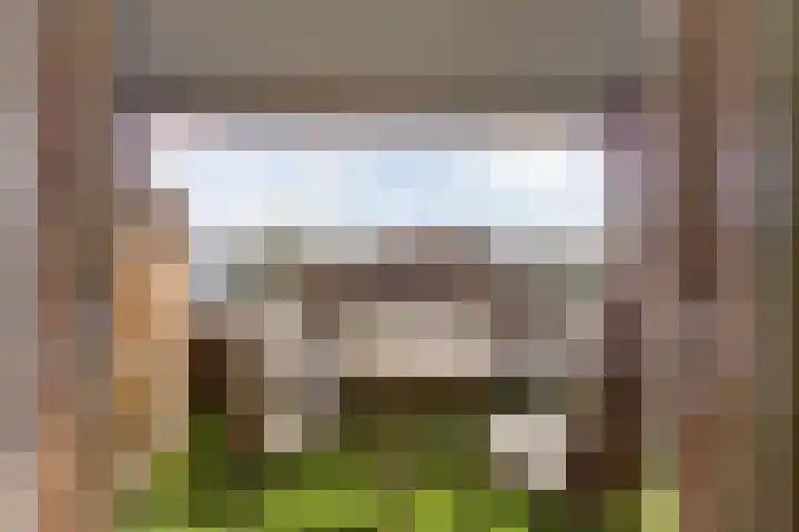 De Henschoterhof 2 Woudenberg thumbnail 24