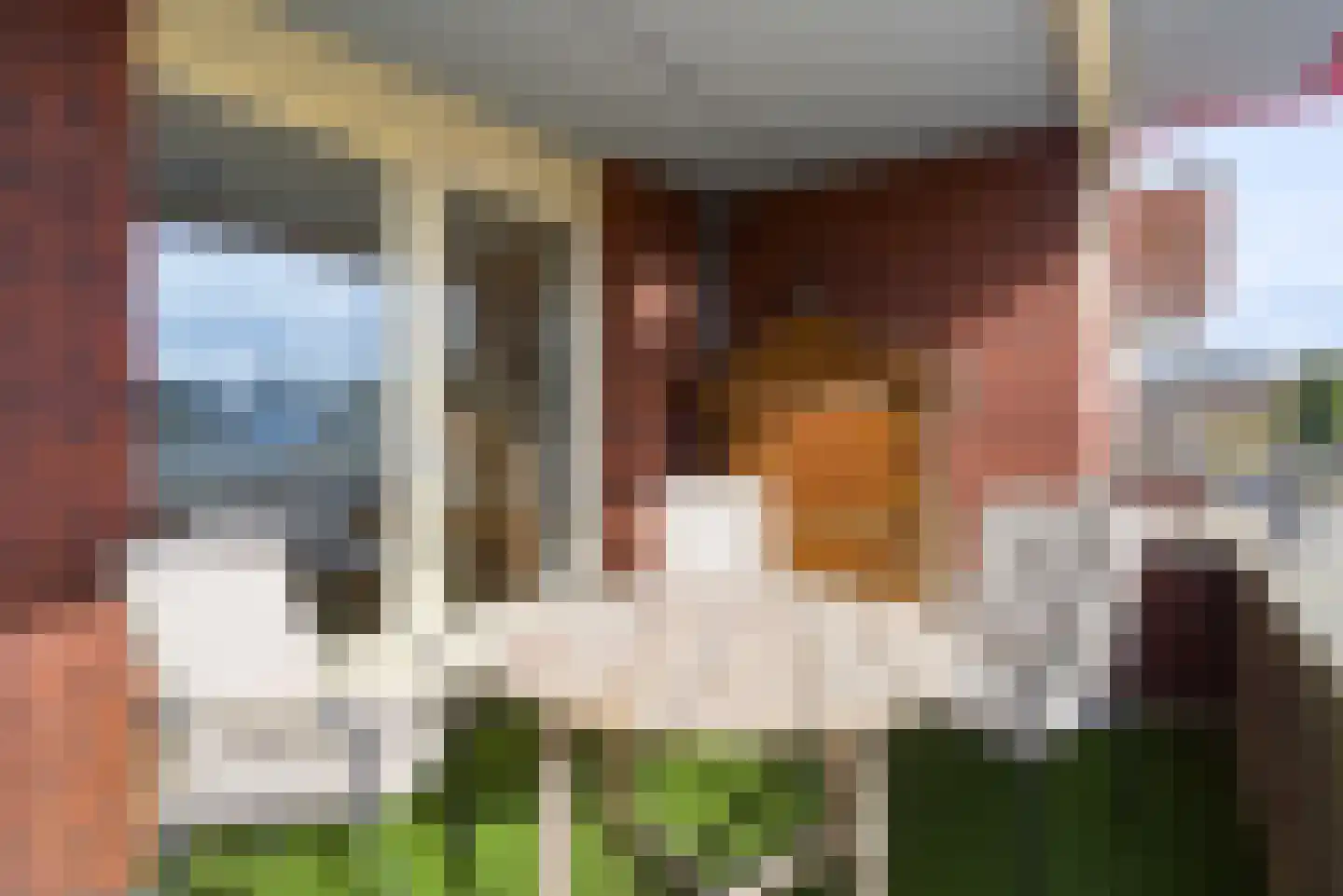 De Henschoterhof 2 Woudenberg thumbnail 25