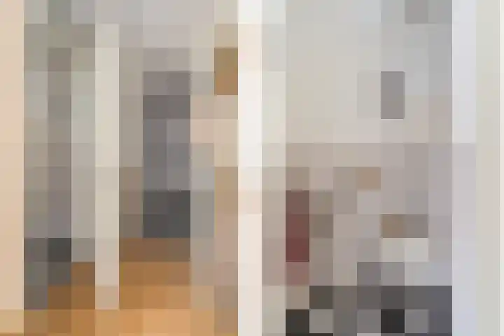 De Henschoterhof 2 Woudenberg thumbnail 34