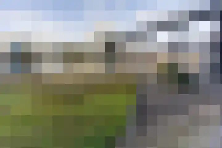 De Henschoterhof 2 Woudenberg thumbnail 38