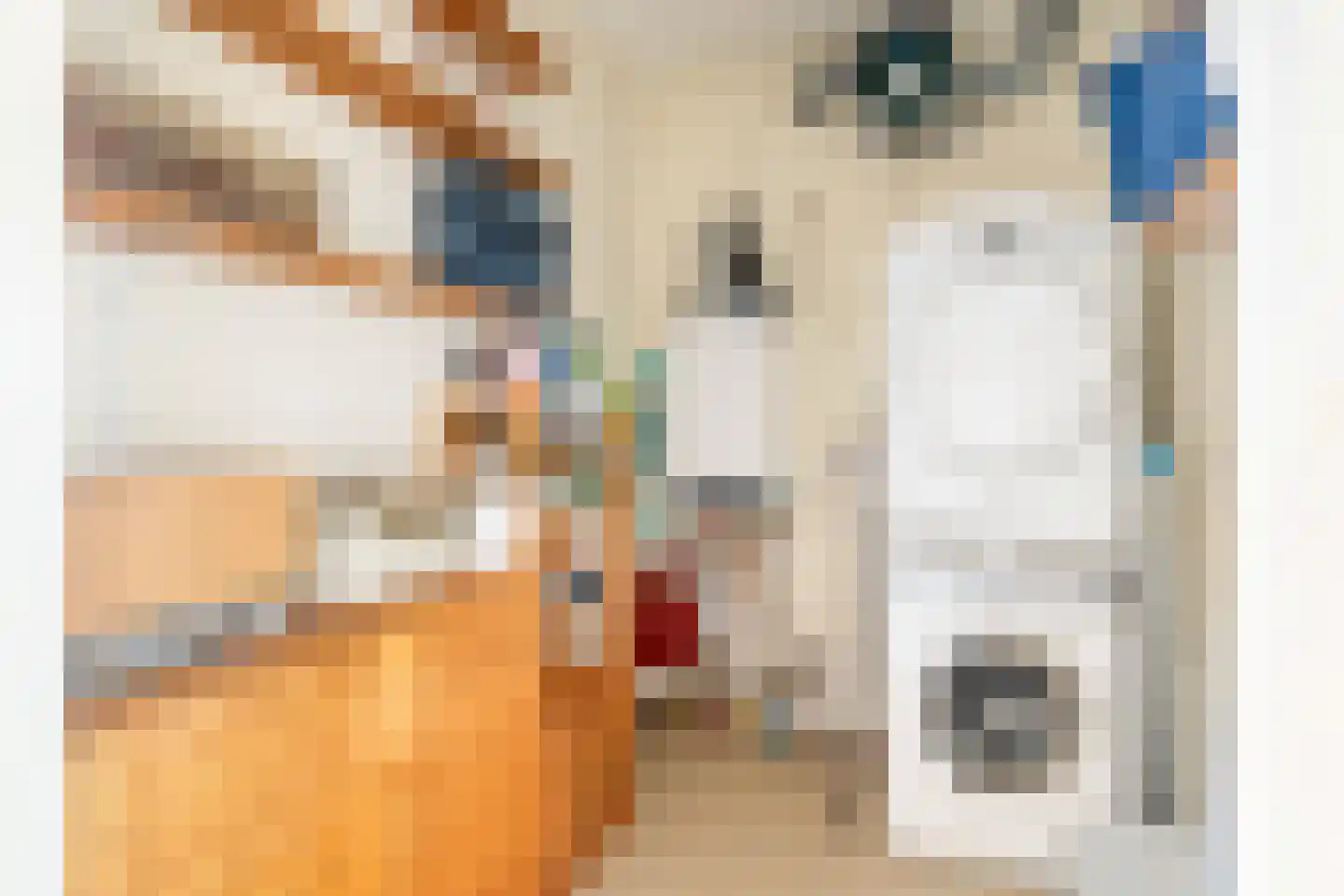 De Henschoterhof 24 Woudenberg thumbnail 41