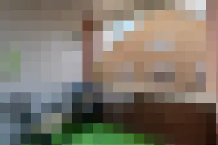 De Henschoterhof 7 Woudenberg thumbnail 16