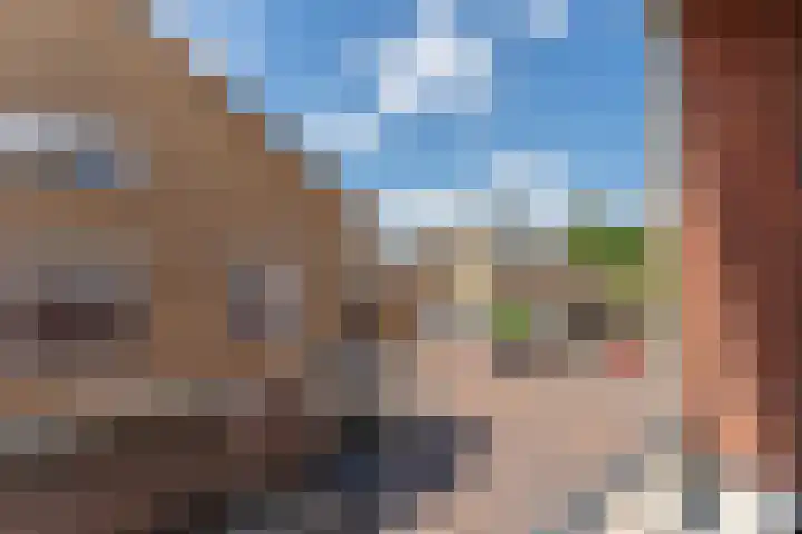 De Henschoterhof 7 Woudenberg thumbnail 17