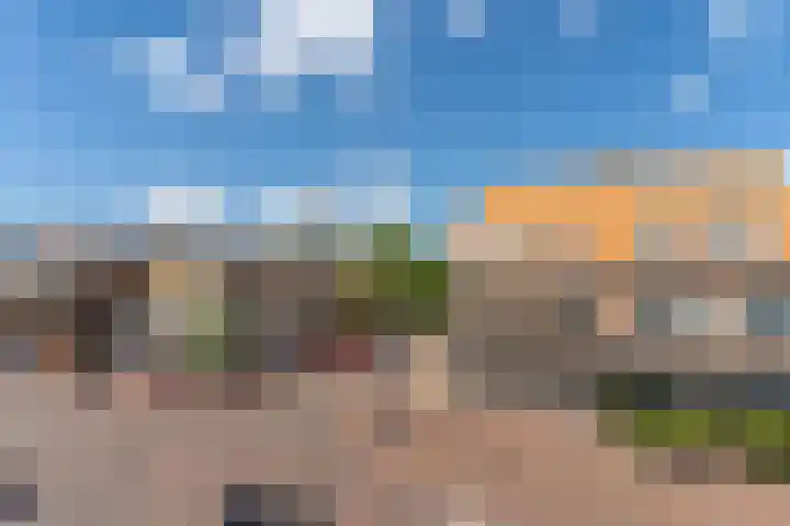 De Henschoterhof 7 Woudenberg thumbnail 18