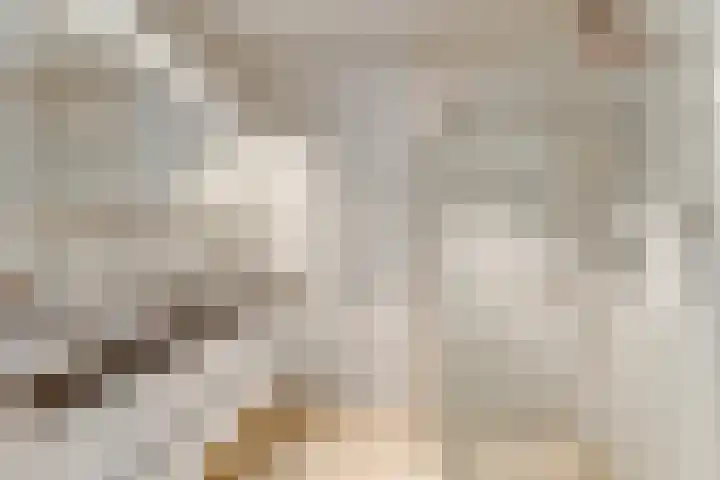 De Henschoterhof 7 Woudenberg thumbnail 24