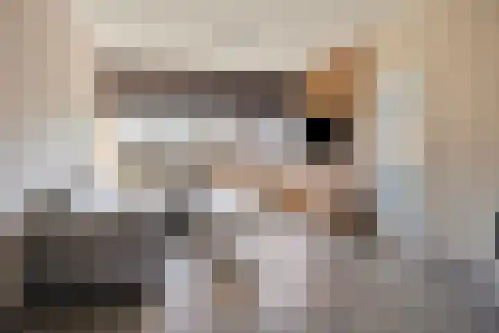 De Heraut 18 Swifterbant thumbnail 10