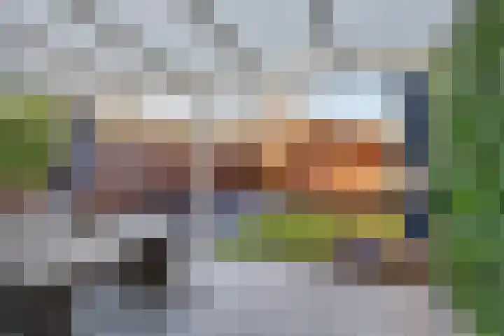 De Heraut 18 Swifterbant thumbnail 30