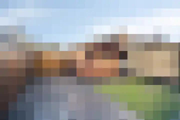 De Heraut 18 Swifterbant thumbnail 31