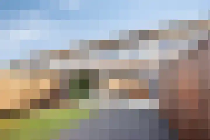 De Heraut 18 Swifterbant thumbnail 32
