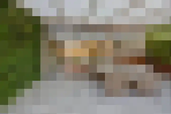 De Heraut 18 Swifterbant thumbnail 33