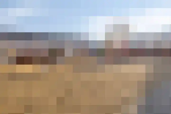 De Heraut 18 Swifterbant thumbnail 34
