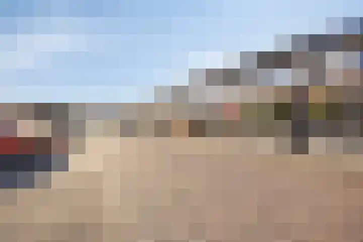 De Heraut 18 Swifterbant thumbnail 36