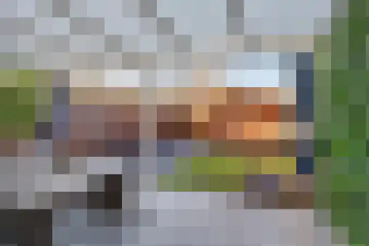 De Heraut 18 Swifterbant thumbnail 4