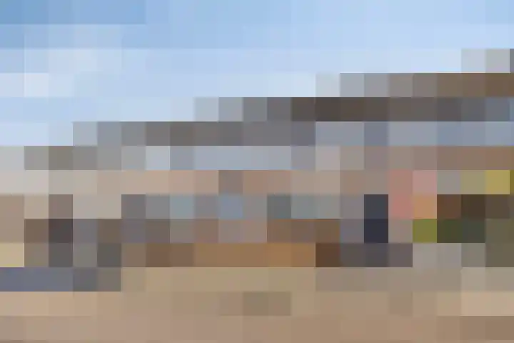 De Heraut 18 Swifterbant thumbnail 5