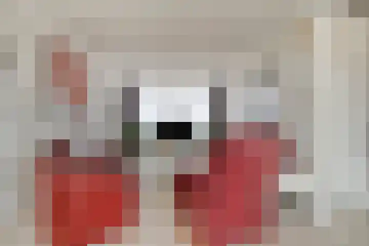 De Heraut 24 Swifterbant thumbnail 10