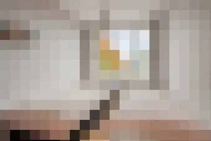 De Heraut 24 Swifterbant thumbnail 16