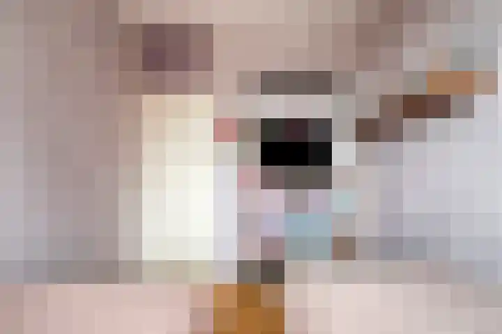 De Heraut 24 Swifterbant thumbnail 17
