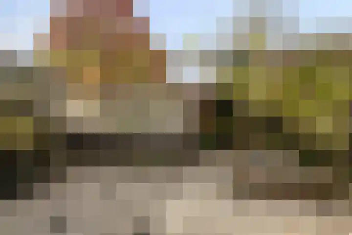 De Heraut 24 Swifterbant thumbnail 25
