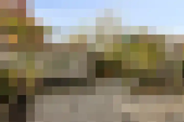 De Heraut 24 Swifterbant thumbnail 26