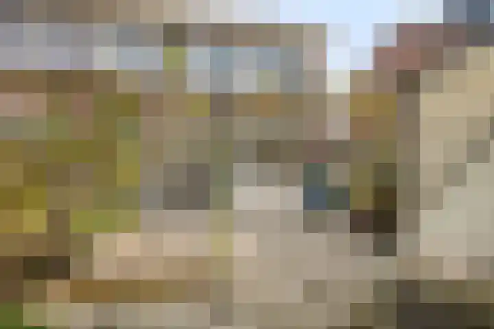 De Heraut 24 Swifterbant thumbnail 27