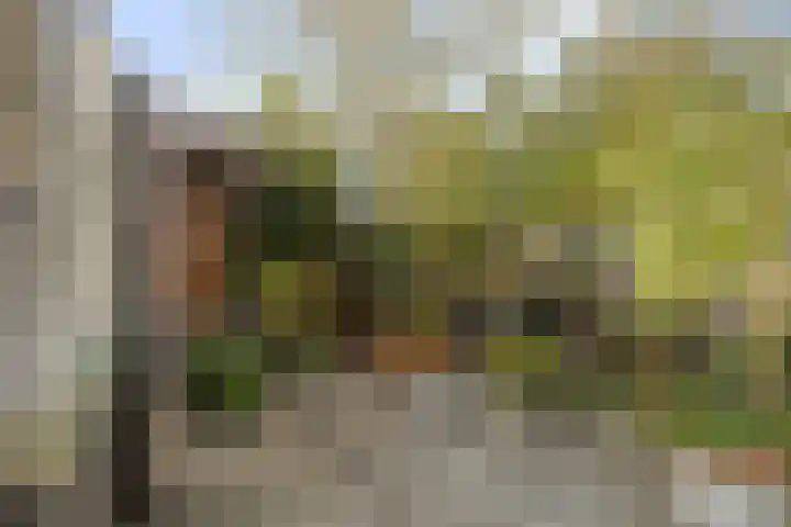 De Heraut 24 Swifterbant thumbnail 28