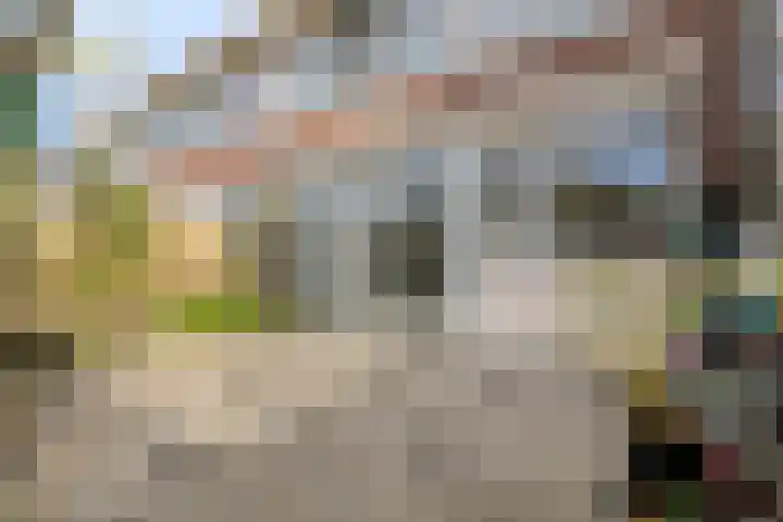 De Heraut 24 Swifterbant thumbnail 29