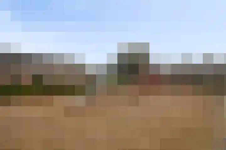 De Heraut 24 Swifterbant thumbnail 30