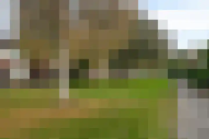De Heraut 24 Swifterbant thumbnail 31