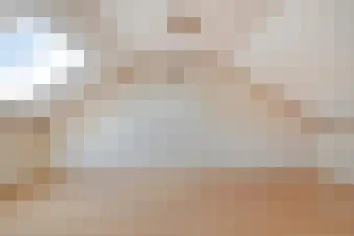 De Heraut 24 Swifterbant thumbnail 5