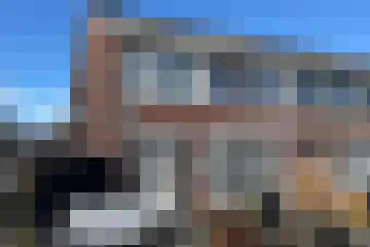 De Heraut 24 Swifterbant thumbnail 6