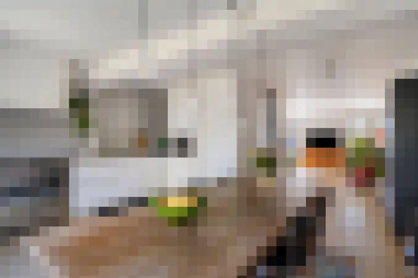 De Herderin 23 Uitgeest thumbnail 10