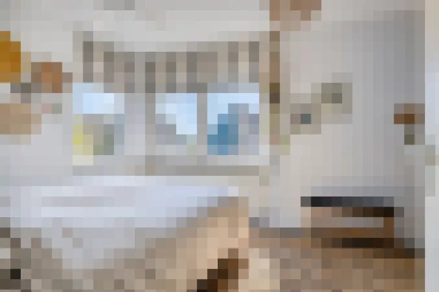 De Herderin 23 Uitgeest thumbnail 21