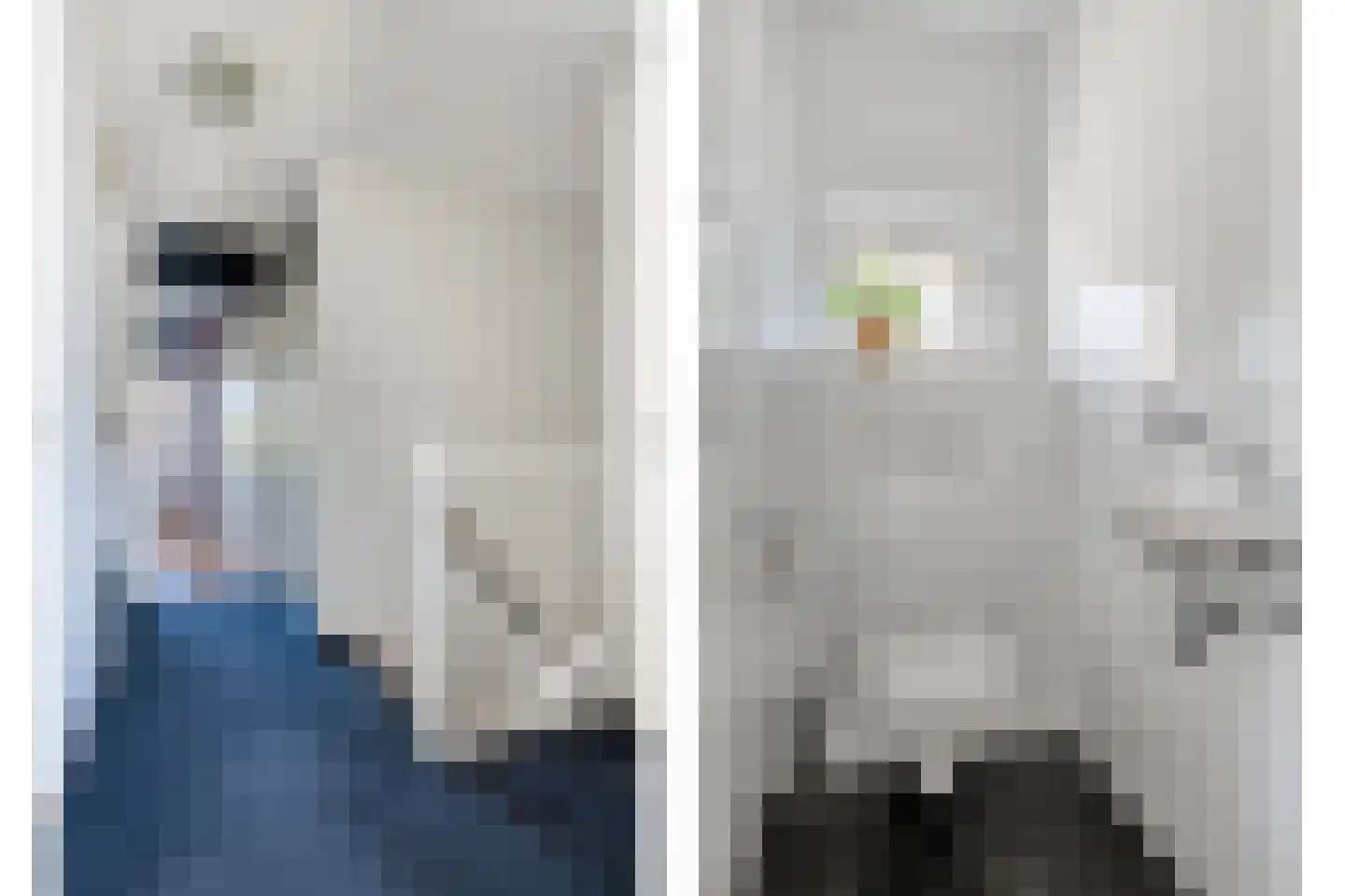 De Herderin 23 Uitgeest thumbnail 29