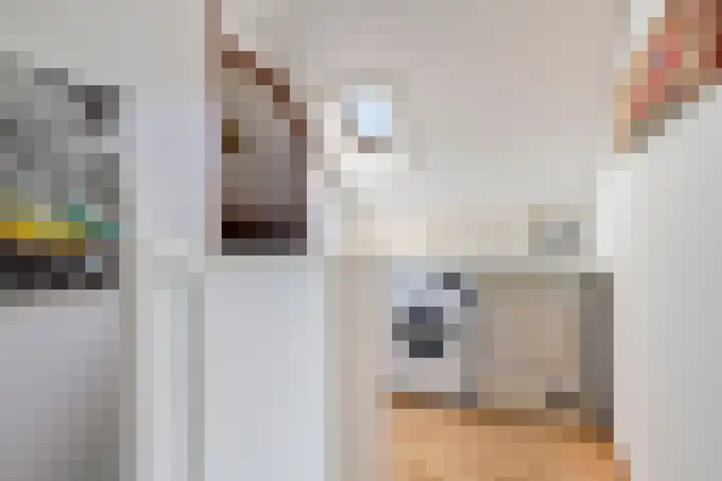De Herderin 23 Uitgeest thumbnail 30