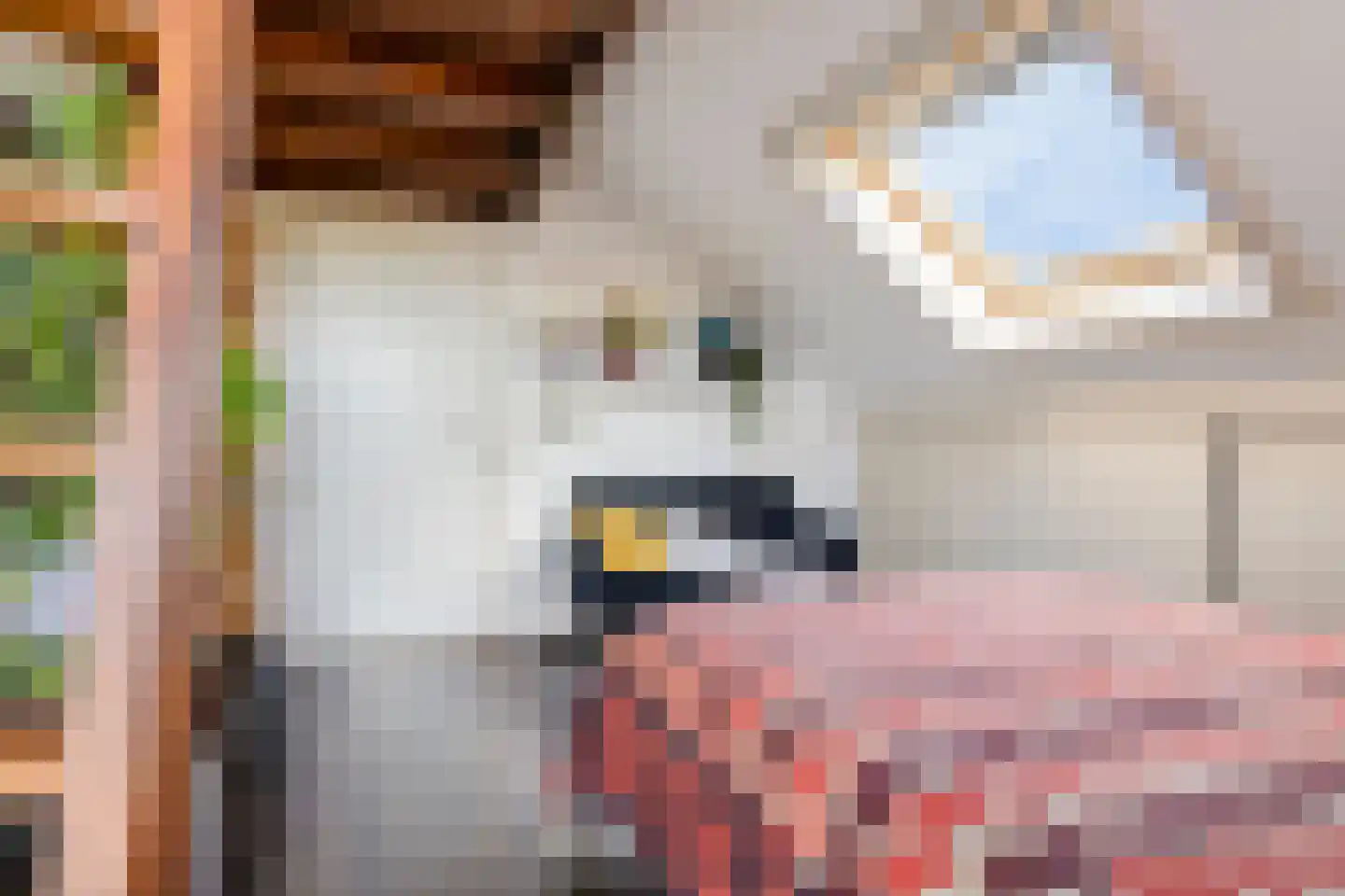 De Herderin 23 Uitgeest thumbnail 32