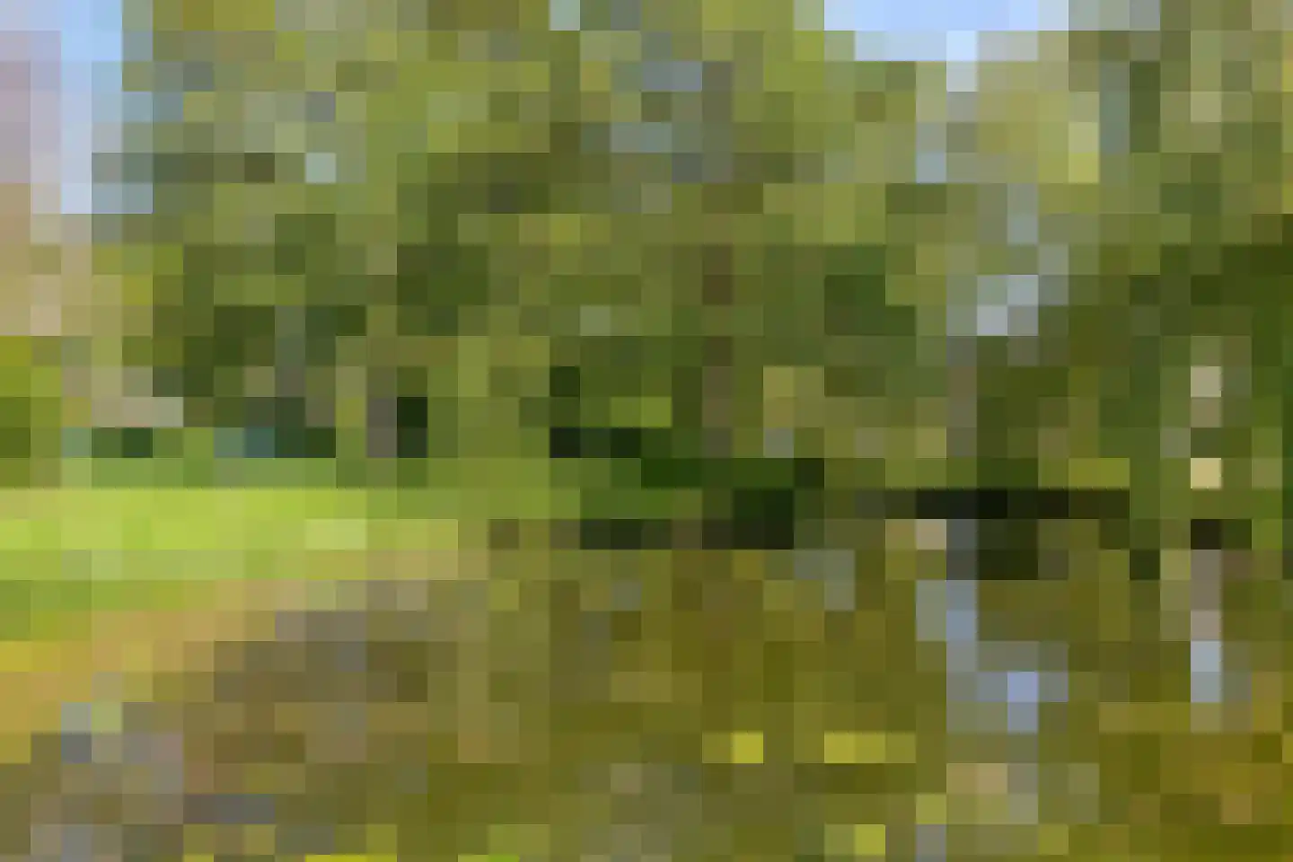 De Herderin 23 Uitgeest thumbnail 47