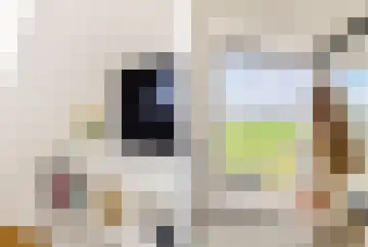 De Herderin 50 Uitgeest thumbnail 27
