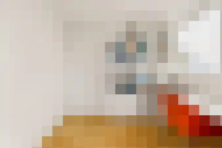 De Herderin 50 Uitgeest thumbnail 29