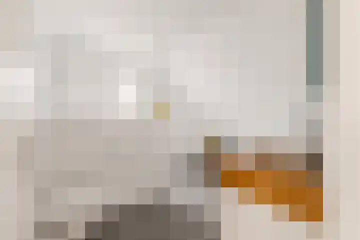 De Herderin 50 Uitgeest thumbnail 30