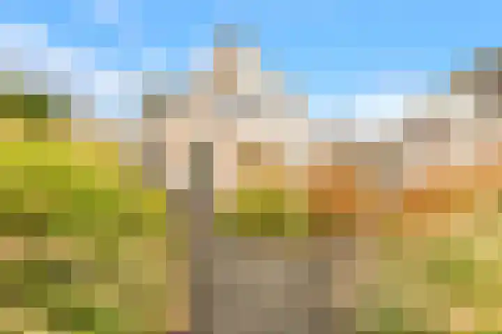 De Herderin 50 Uitgeest thumbnail 33