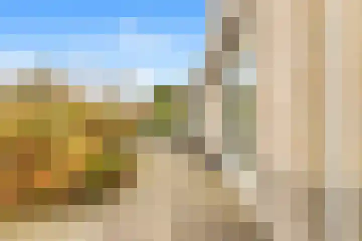 De Herderin 50 Uitgeest thumbnail 34