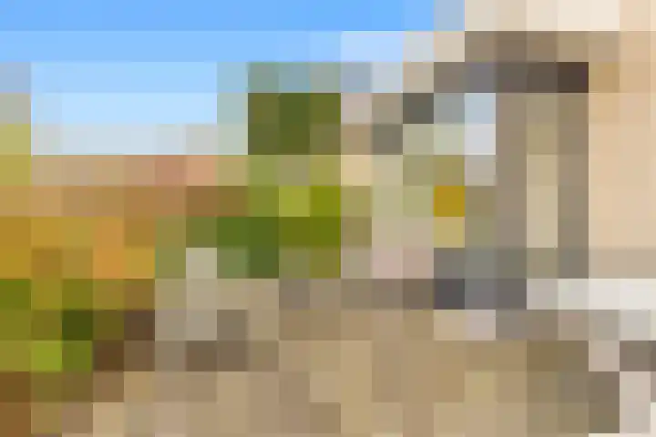 De Herderin 50 Uitgeest thumbnail 35