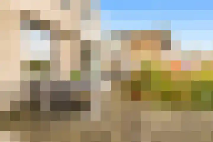 De Herderin 50 Uitgeest thumbnail 36